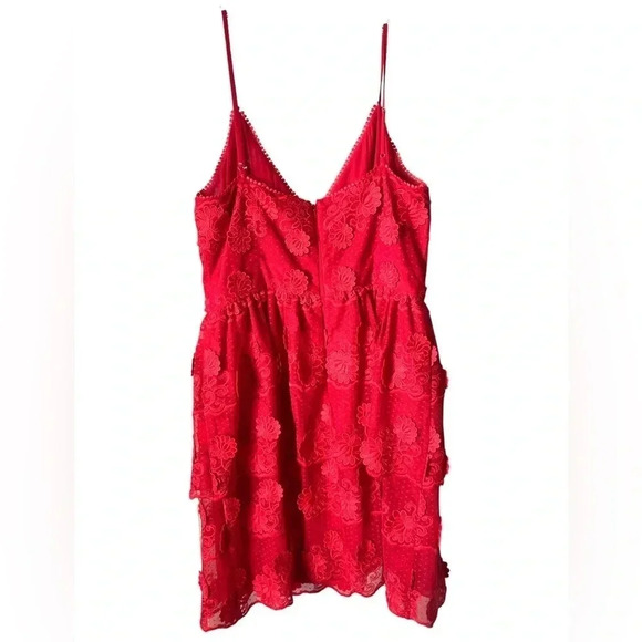 ANTHRO’ MONIQUE LHUILLIER | Red Floral Appliqué Tiered Lace Bella Dress Size 12 - Picture 5 of 10
